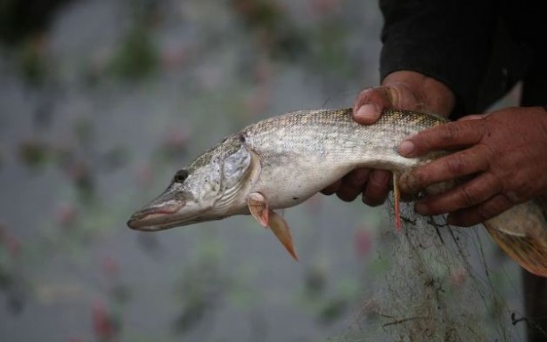 Foto - Dünyanın en korkunç 11 mesleği! Kimisini hiç duymamış olabilirsiniz...