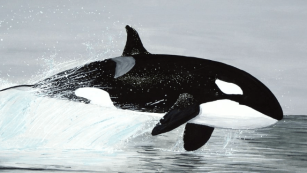 Foto - Dünyanın en korkunç canlısı hakkında hayret veren keşif! İlk defa duyacaksınız! Çok garip