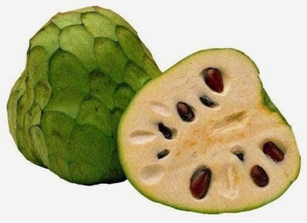 Foto - Dünyanın en lezzetli meyvesi, ama...