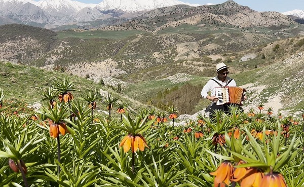 Foto - Dünyanın en nadir çiçeklerinden biri! 