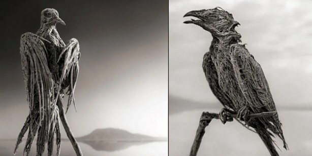 Foto - Dünyanın en ölümcül gölü Natron: Yaklaşan 'taş'a dönüyor! Teması olanlar için büyük bir tehlike! Duyanlar şaşkın