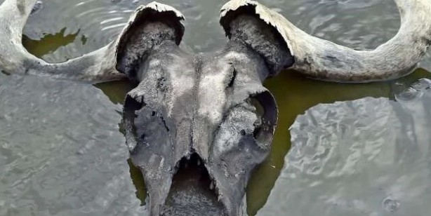 Foto - Dünyanın en ölümcül gölü Natron: Yaklaşan 'taş'a dönüyor! Teması olanlar için büyük bir tehlike! Duyanlar şaşkın