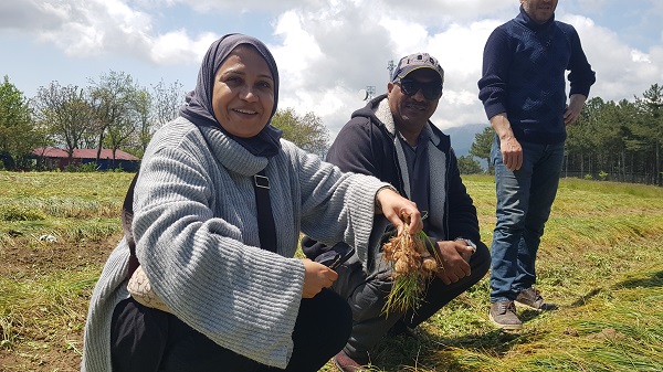 Foto - Dünyanın en pahalı baharatı! Gramı 125 liradan satılıyor