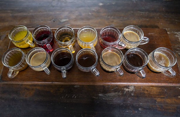 Foto - Dünyanın en pahalı kahvesi: Yapımını görenler şoke oluyor, kedinin pisliğinden üretiliyor