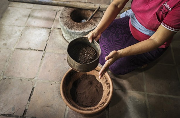 Foto - Dünyanın en pahalı kahvesi: Yapımını görenler şoke oluyor, kedinin pisliğinden üretiliyor