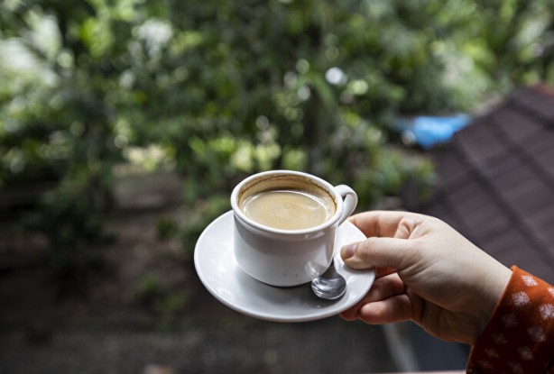 Foto - Dünyanın en pahalı kahvesi: Yapımını görenler şoke oluyor, kedinin pisliğinden üretiliyor
