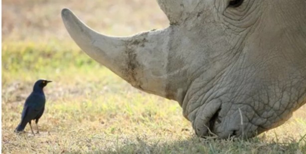 Foto - Dünyanın en pahalı maddeleri ağızları açık bıraktı! Yok artık...