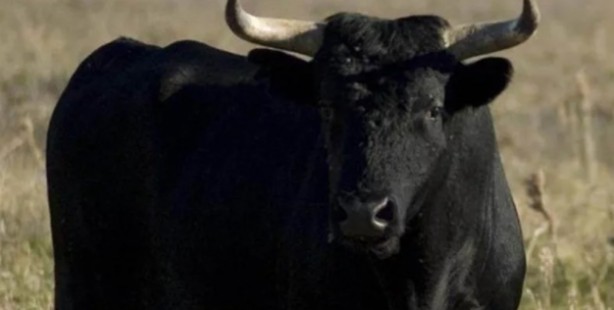 Foto - Dünyanın en pahalı maddeleri ağızları açık bıraktı! Yok artık...