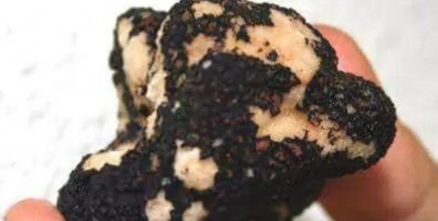 Foto - Dünyanın en pahalı maddeleri ağızları açık bıraktı! Yok artık...