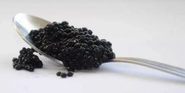 Foto - Dünyanın en pahalı maddeleri ağızları açık bıraktı! Yok artık...