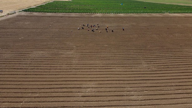 Foto - Dünyanın en pahalısı bu! Türkiye için harekete geçildi bir ilimizi daha zengin edecek