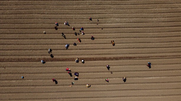 Dünyanın en pahalısı bu! Türkiye için harekete geçildi bir ilimizi daha zengin edecek