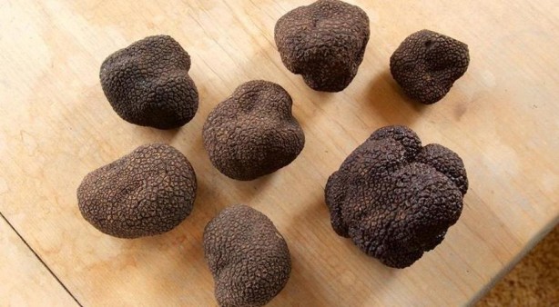 Foto - Dünyanın en pahalısı Türkiye’de bulundu! Fiyatı 4 milyon 800 bin lirayı gördü: Onu eken resmen milyoner olacak