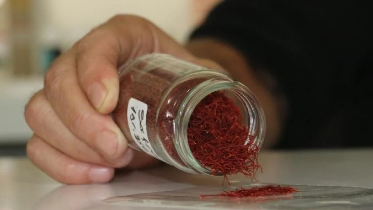 Dünyanın en pahallı baharatı! Kilo fiyatını duyunca sahtesini yaptılar