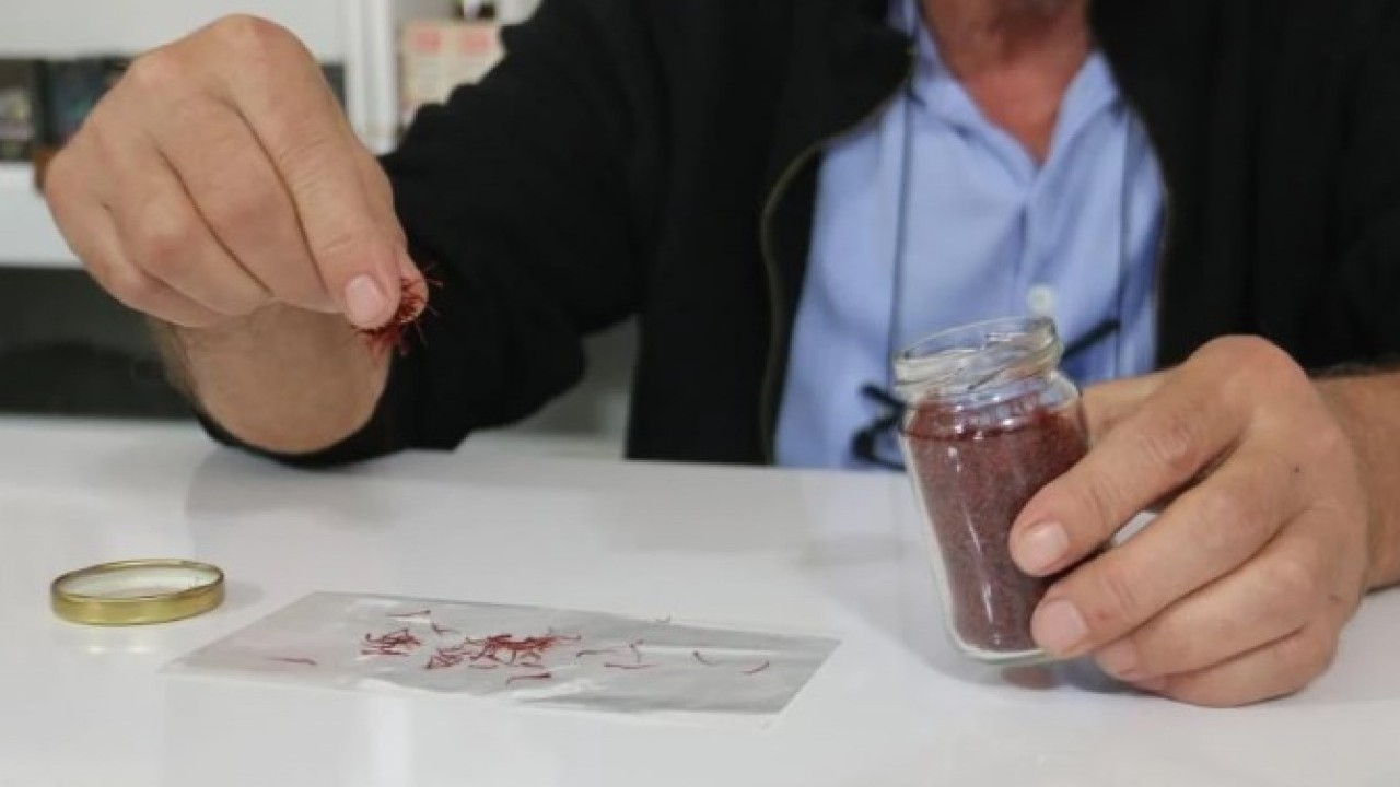 Foto - Dünyanın en pahallı baharatı! Kilo fiyatını duyunca sahtesini yaptılar