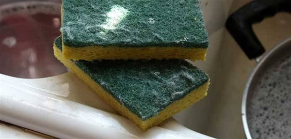 Foto - Dünyanın en pis eşyaları