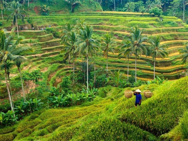 Dünyanın en popüler seyahat noktaları