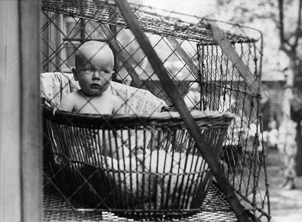 Foto - Dünyanın en saçma buluşları