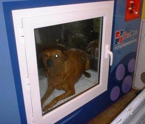 Foto - Dünyanın en saçma buluşları