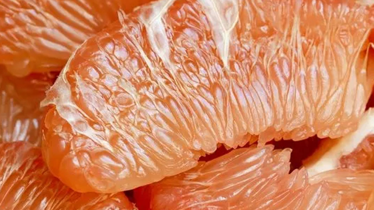 Foto - Dünyanın en sağlıklı besini belirlendi! Tespit edildi: İlk sırada yer alan yiyecek şaşırttı!