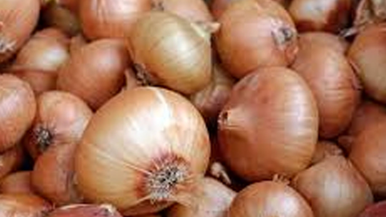 Foto - Dünyanın en sağlıklı besini belirlendi! Tespit edildi: İlk sırada yer alan yiyecek şaşırttı!