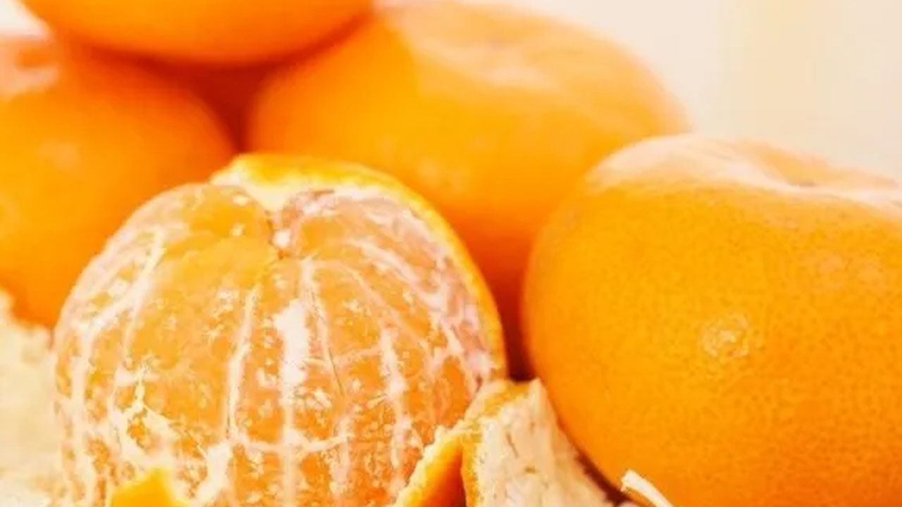 Foto - Dünyanın en sağlıklı besini belirlendi! Tespit edildi: İlk sırada yer alan yiyecek şaşırttı!