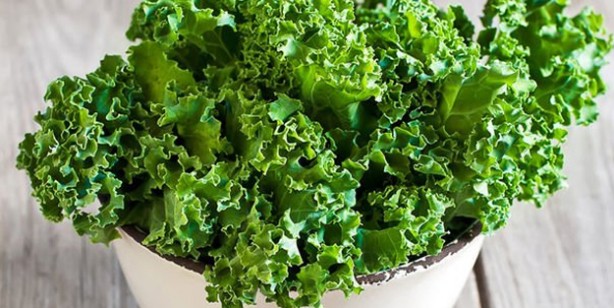 Foto - Dünyanın en sağlıklı gıdaları