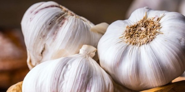 Foto - Dünyanın en sağlıklı gıdaları