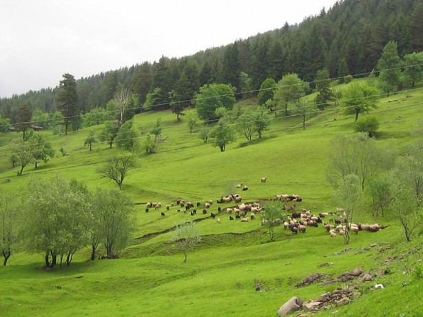 Foto - Dünyanın en sakin şehri Türkiye'de