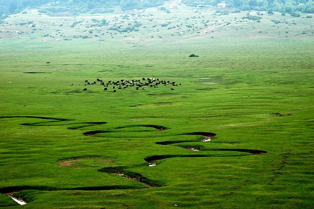 Foto - Dünyanın en sakin şehri Türkiye'de