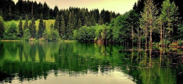 Dünyanın en sakin şehri Türkiye'de