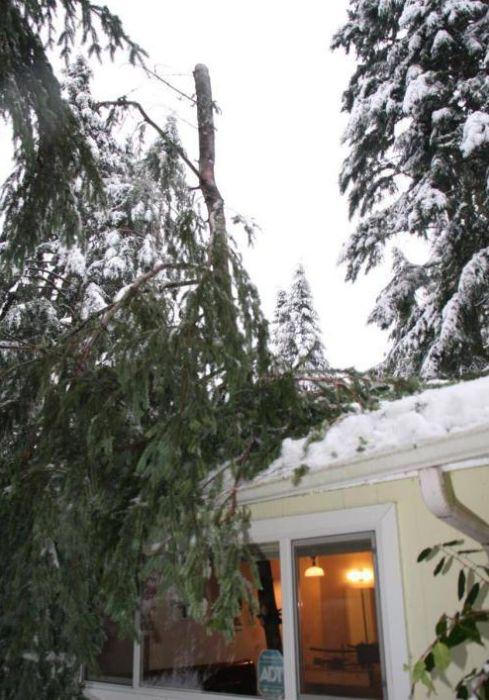 Foto - Dünyanın en şanslı insanları!