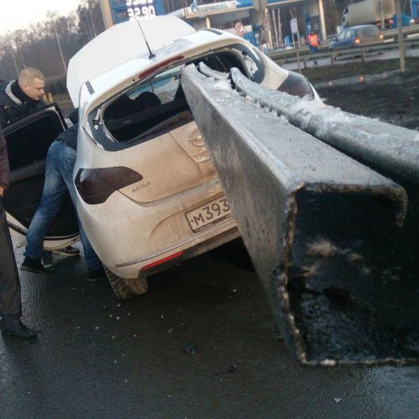 Foto - Dünyanın en şanslı insanları!