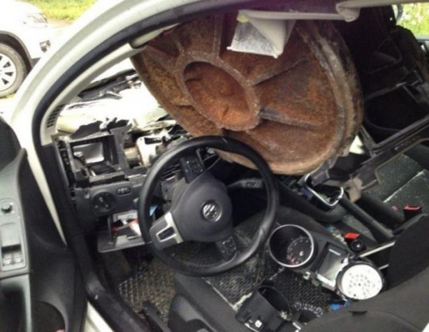 Foto - Dünyanın en şanslı insanları!