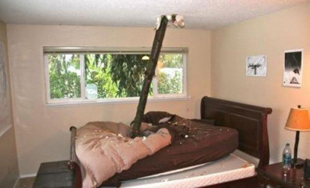 Foto - Dünyanın en şanslı insanları!