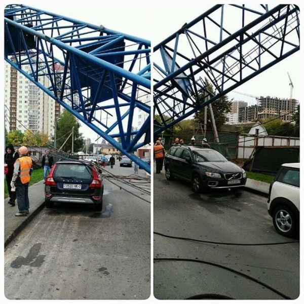 Foto - Dünyanın en şanslı insanları!