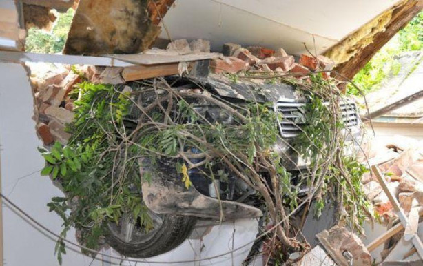 Foto - Dünyanın en şanslı insanları!