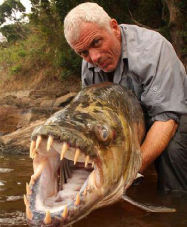 Foto - Dünyanın en sıra dışı canlıları