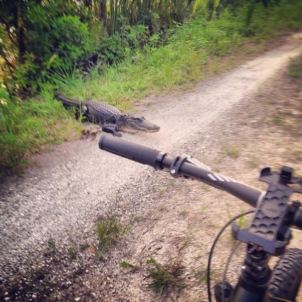 Foto - Dünyanın en talihsiz insanları