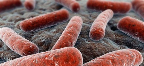 Foto - Dünyanın en tehlikeli 12 hastalığı