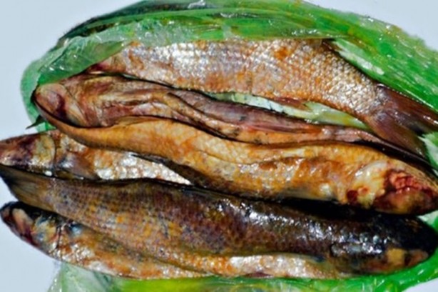 Foto - Dünyanın en tehlikeli 21 yiyeceği