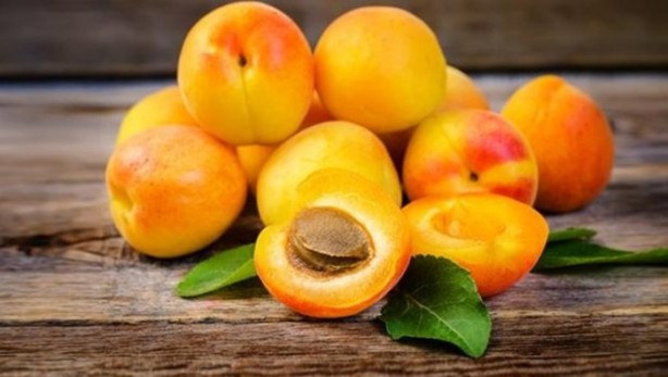 Foto - Dünyanın en tehlikeli 21 yiyeceği