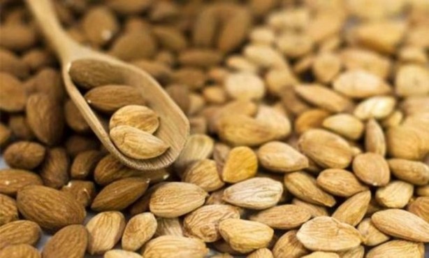 Foto - Dünyanın en tehlikeli 21 yiyeceği