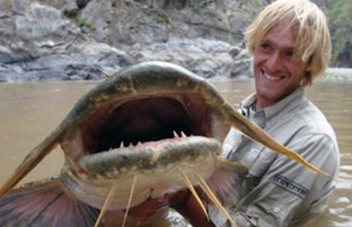 Foto - Dünyanın en tehlikeli balıkları