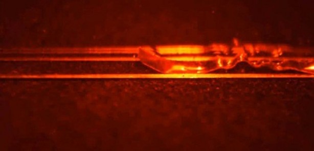 Foto - Dünyanın en tehlikeli tırtılı üretildi!