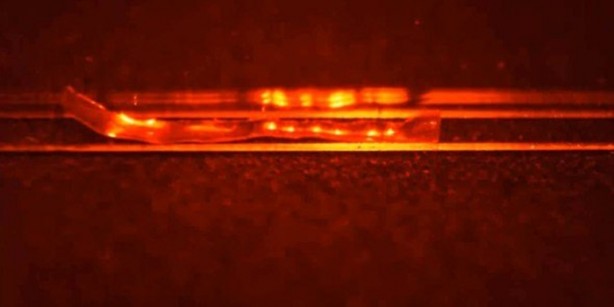 Foto - Dünyanın en tehlikeli tırtılı üretildi!