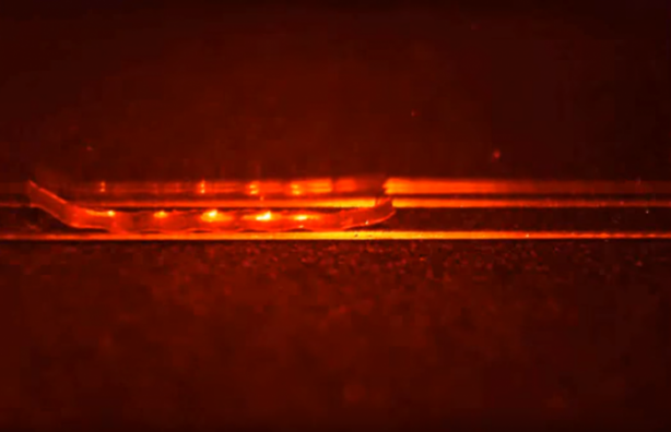 Foto - Dünyanın en tehlikeli tırtılı üretildi!