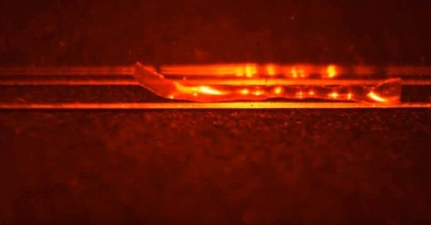 Foto - Dünyanın en tehlikeli tırtılı üretildi!