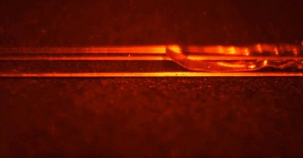 Foto - Dünyanın en tehlikeli tırtılı üretildi!