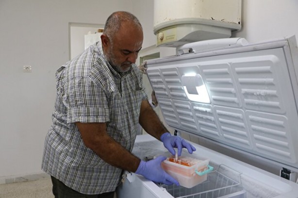 Foto - Dünyanın en tehlikeli ve en pahalı işi! Litresi tam tamına 10 milyon dolar